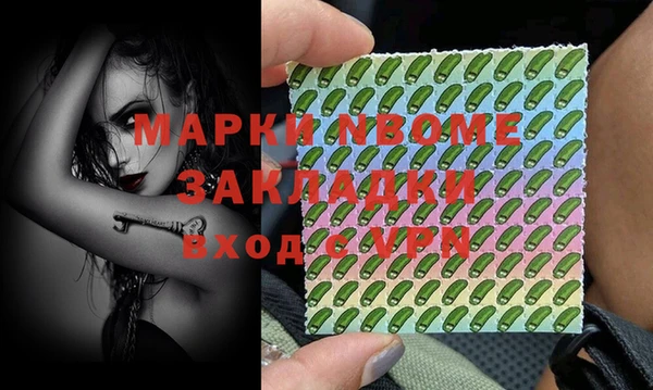 гашик Осташков