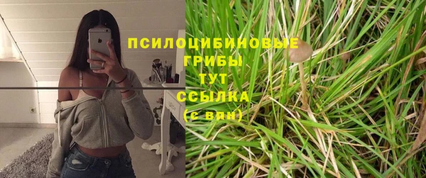 хмурый Нягань