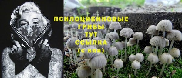 COCAINE Осинники