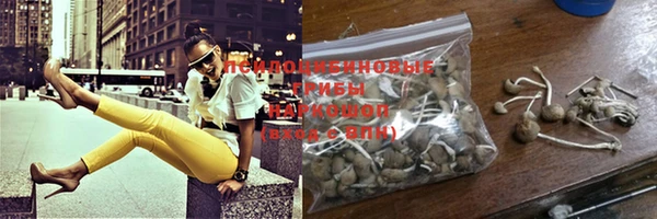 хмурый Нягань