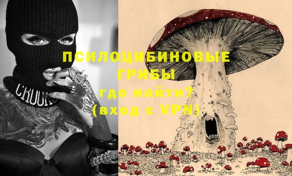 гашик Осташков