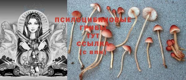 COCAINE Осинники