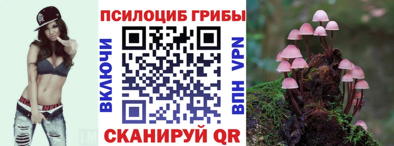 Псилоцибиновые грибы мухоморы  продажа наркотиков  гидра   Нижняя Тура 